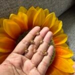Navaratna Nosepin / second stud / earstud